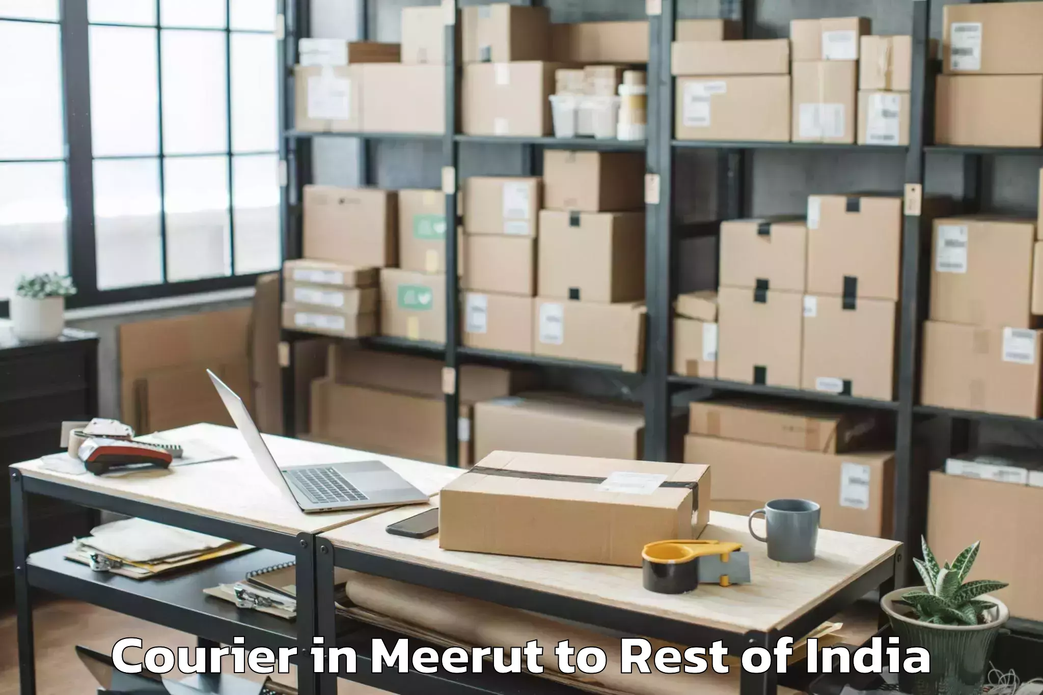 Trusted Meerut to Dooru Courier